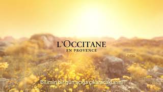 L’Occitane I Immortelle Reset Overnight Serum [upl. by Norek472]