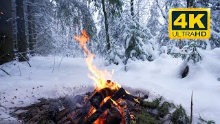 🔥 Cozy Campfire in the Winter Forest 12 HOURS Campfire Ambience with Crackling Fire Sounds [upl. by Maggs]