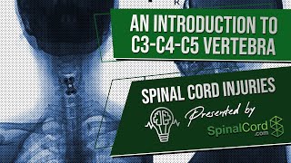 C3 C4 C5 Definitions Cervical Spinal Cord Injury Symptoms Causes Treatments and Recovery [upl. by Simmons]