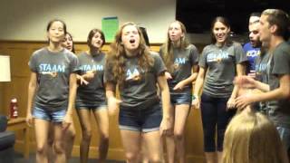 Staam  A Capella Group  Wash U [upl. by Lobell]