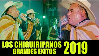 PRIMICIAS CON LOS CHIGUIRIPANOS EN CONCIERTO 2019  GRANDES EXITOS [upl. by Art]