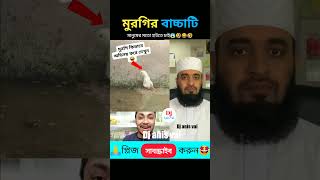 মুরগির বাচ্চাটির অভিনয় দেখুন। Mizanur Rahman Azhari shortvideo reels viralvideo [upl. by Ruhtua]