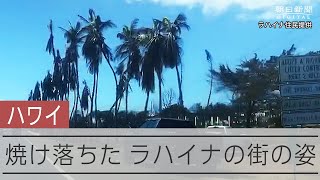 焼け落ちた米ハワイ州マウイ島・ラハイナの街 [upl. by Chambers508]