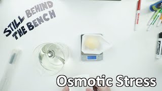 Ep 005  Osmotic Stress [upl. by Mckenzie]