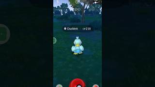 See how I catch a Ducklett in Pokemon go pokemongo [upl. by Dexter]