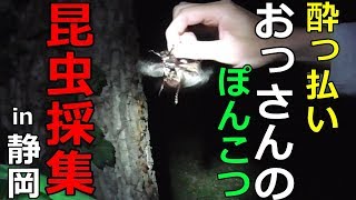 【昆虫採集2018】カブトムシ・クワガタ大量ゲット！ [upl. by Newman]