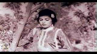 MAHI VE SANU PUL NA JAVI Super Hit  NOOR JEHAN  PAKISTANI FILM MALANGI [upl. by Siddra]