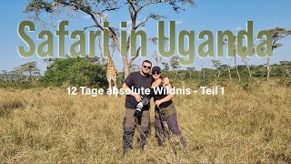 12 Tage Safari in Uganda Teil 1  Elefantenangriff  Dschungeltour im Kibale Forest [upl. by Lib359]