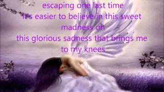 Sarah McLachlan  Angel Lyrics [upl. by Wilde]