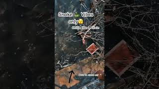 Chillin like a villain 🐍 shorts ytshorts music snake fyp ytshortsindia phonk typebeat [upl. by Harp53]