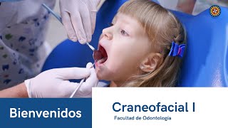 Video Presentación Craneofacial I [upl. by Ainegue]