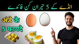 Benefits of Eggs  Eggs [upl. by Mehs]