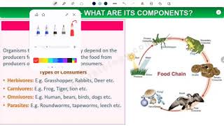 Our environment  what is Ecosystem Biotic Abiotic components class X biology [upl. by Merow693]