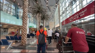 Cairo Airport Arrival and International Departure [upl. by Ebonee]