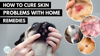 How To treat 5 Skin infection in dogs 🐕 with home remedies [upl. by Daj]