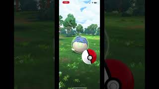 I got my 999th excellent throw done in Pokemon GO for the level 50 requirement shorts [upl. by Amzaj]