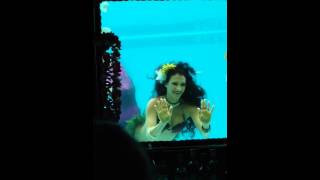 MeduSirena Mermaid Show at Ft Lauderdale Beach Sheraton [upl. by Mcconaghy325]