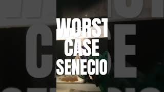 WORST CASE SENECIO [upl. by Audry]