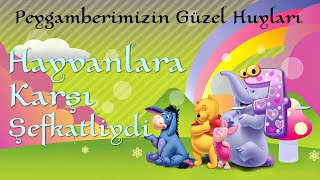 Peygamberimizin Güzel Huyları  Hayvanlara Karşı Şefkatliydi [upl. by Clapper13]