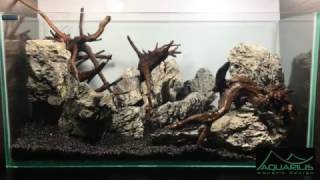 Aquarium eau douce  Animal expo 2016  Stoffels [upl. by Steffi]