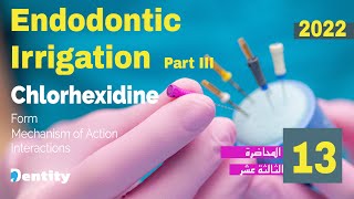 Endodontic irrigation  Chlorhexidine  المحاضرة 13 في علاج العصب [upl. by Yesnik276]