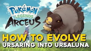 Pokemon Legends Arceus How To Evolve Ursaring Into Ursaluna How To Get Ursaluna [upl. by Teyut]