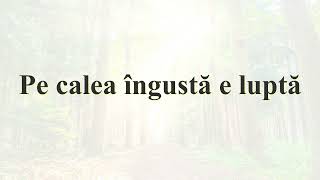 Pe calea îngustă e luptă Negativ  Cuvinte [upl. by Pace]