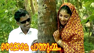 തെക്കേലെ പാത്തുമ്മ  Malayalam Mappila Songs  Malayalam Album Songs 2015 HD [upl. by Nwahsir972]