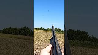 Dove season is fast approaching dove huntingseason hunting hunt dovehunting wingshooting [upl. by Hoxie248]