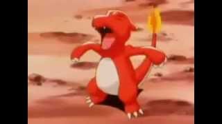 Ashs Charmeleon Evolves Into Charizard [upl. by Tteirrah922]