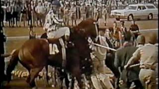 SECRETARIAT  1973 Kentucky Derby  Part 4 CBS [upl. by Gnol]