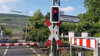 Bahnübergang Bingen am Rhein Salzstraße  Railroad Crossing  Spoorwegovergang [upl. by Adnovoj]