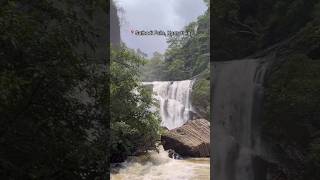 Sathodi falls yellapur Karnataka karnataka travel fall waterfall udupitourism karnataktourism [upl. by Ehsiom]