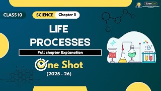 Life Processes Complete Explanation in One Shot  Class 10 Science Chapter 5 [upl. by Ecitsuj]