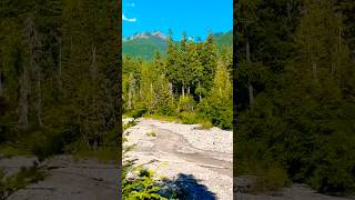 Water coming from the mount rainier snowwash snow water snowmelt [upl. by Kirima288]