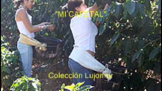 Garzón y Collazos  Mi cafetal  Colección Lujomarwmv [upl. by Akinert]