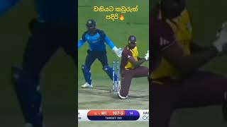 වනියට කවුරුවත්ම අදාළ නෑ🔥🔥 cricket trending viralshort [upl. by Minier]