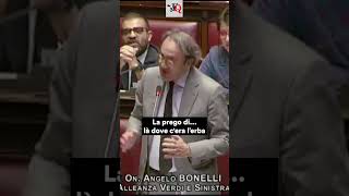 DECRETO SALVAMILANO BONELLI CANTA IN AULA E CITA CELENTANO news shorts [upl. by Asyar235]