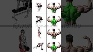 STRONGER Back with DUMBBELLS Best Dumbbell Back Workout [upl. by Portwin88]