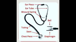 stethoscope use stethoscop part name stethoscope medicaleducation [upl. by Harness]