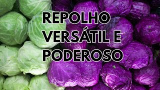 Repolho A Verdadeira Joia da Alimentação Saudável Descubra Todos os Benefícios [upl. by Hymie]