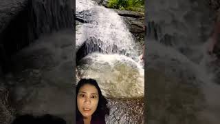 waterfall swimming water adventure nature youtubeshorts shortvideo shortsviral shortsviral [upl. by Iemaj]