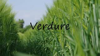 How to Pronounce Verdure [upl. by Ayortal]