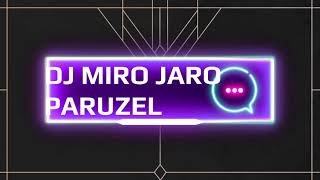 DJ MIRO JARO PARUZEL 16 [upl. by Birchard]