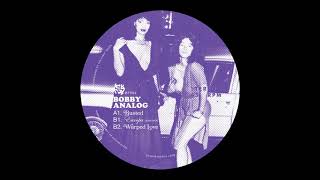 Bobby Analog  Warped Love [upl. by Witha]