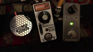 Rainger FX Dr Freakenstein Dwarf Bass  Bass Guitar demo [upl. by Onitsuaf243]