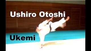 Advanced Aikido Ukemi Ushiro Otoshi Tutorial [upl. by Aslam]