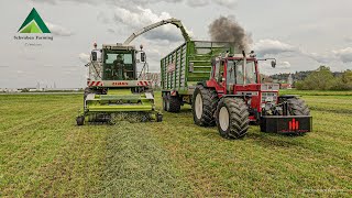 IHC 956XL mit Bergmann Häckselwagen  Erster Schnitt im Einsatz  Sound  Schwaben Farming [upl. by Navaj]