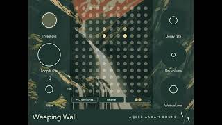 Weeping Wall VST3AU plugin [upl. by Darbee]