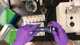 Enzyme Activity Assay for Polyphenol Oxidase PPO [upl. by Aronel]